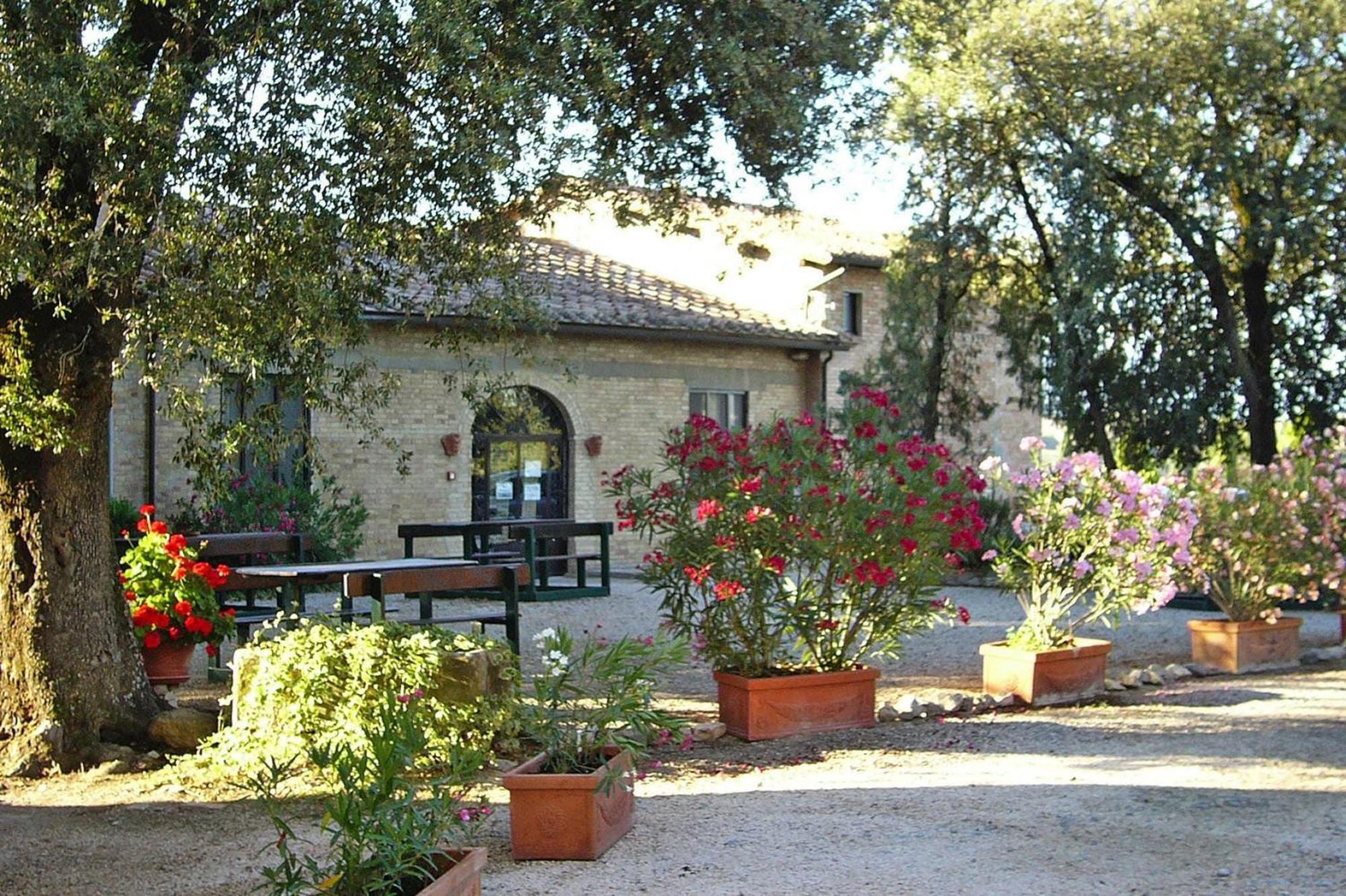 Fattoria Bio Pieve A Salti Montalcino Διαμέρισμα Εξωτερικό φωτογραφία